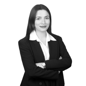 Şimal Taşkın